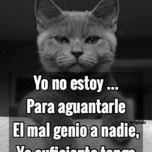 Meet your Posher, Roberto